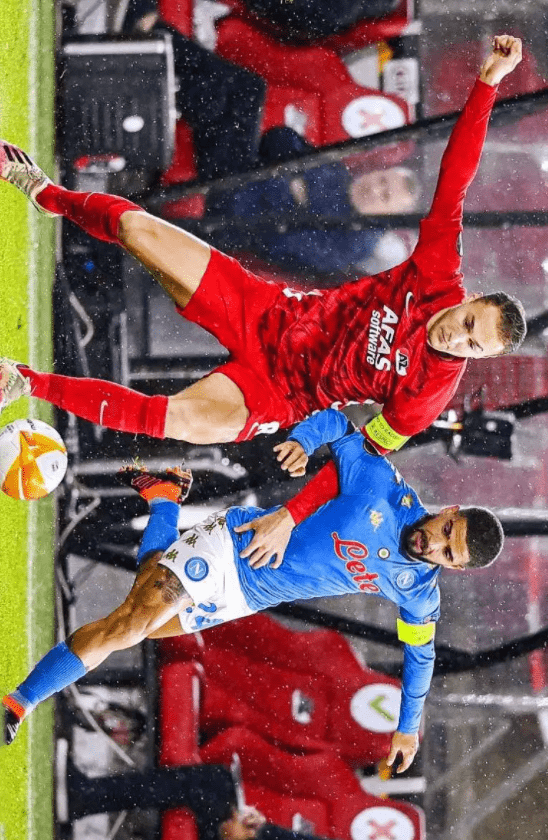 并辅以简要 并辅以简要